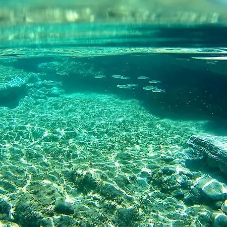 Apartamento Thalassa House - Kea Rent - Kastellakia Bay Pisses